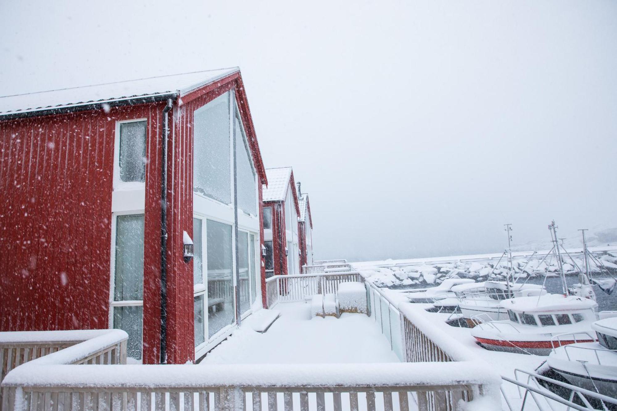 High standard Lodge Ballstad Exteriör bild